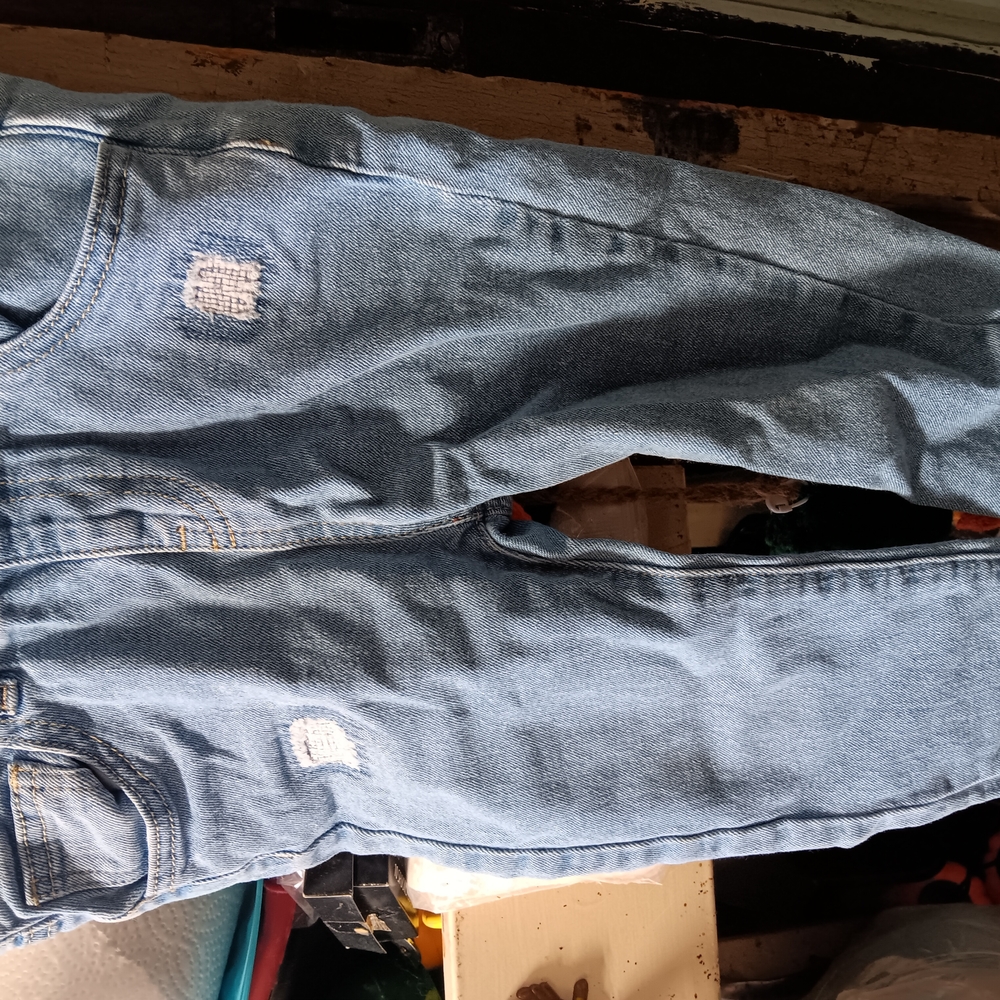Casual Light Blue Distressed Denim Pants